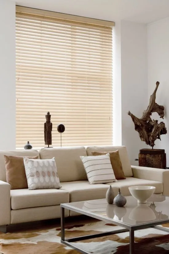 Venetian-Blinds For Drawing Room