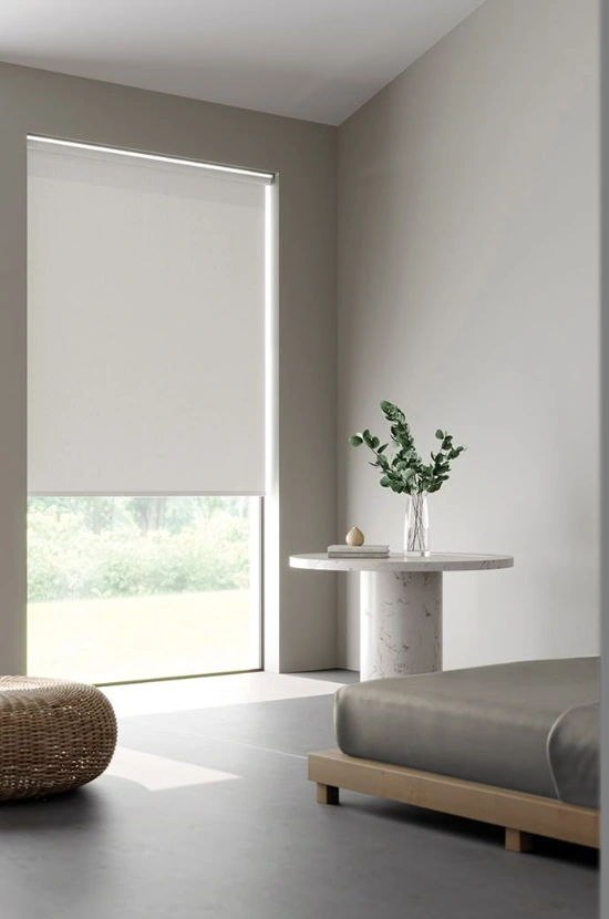 Best Modern Roller Blinds