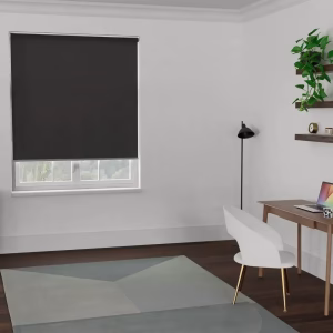 Echo Light Filtering Roller Blind