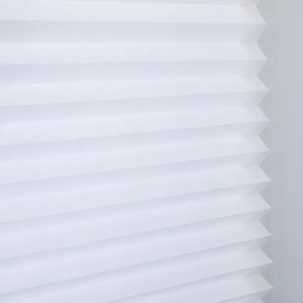 Daylight Temporary Pleated Blinds