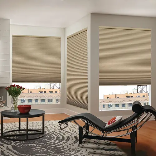 Honeycomb Blinds