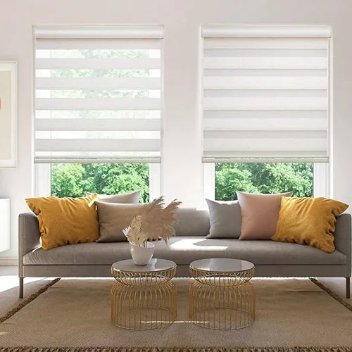Zebra Blinds